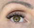 eye with applied diy eyelash extensions 